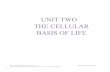 UNIT TWO THE CELLULAR BASIS OF LIFEfaculty.washington.edu/chudler/bex/bex2unit2.pdf · 2009. 1. 16. · 42 Unit Two:The Cellular Basis of Life UNC-CH Brain Explorers May be reproduced