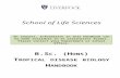 chamaeleons.comchamaeleons.com/doc/downloads/TDB_Honours_Handbo…  · Web viewSchool of Life Sciences