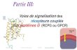 Partie III - Accueilfsesnv.univ-biskra.dz/images/stories/cour_Dr_Dehimat_Abdelouahab/… · Partie III: Voies de signalisation des récepteurs couplés aux protéines G (RCPG ou GPCR)