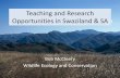 New Teaching and Research Opportunities in Swaziland & SA · 2017. 2. 17. · Kavannah research center . Kavannah research center . Kavannah research center . Kavannah research center