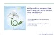 A Canadian perspective on Energy Conservation and Efficiencyloveenergyconsultants.com/international-presentations/...2009/11/12  · A Canadian perspective on Energy Conservation and