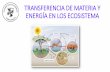 TRANSFERENCIA DE MATERIA Y ENERGÍA EN LOS ECOSISTEMA · los procesos de transferencia de energía en los ecosistemas. •Describir los mecanismos que los seres vivos llevan a cabo