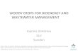 WOODY CROPS FOR BIOENERGY AND WASTEWATER MANAGEMENT · 2017. 12. 6. · WASTEWATER MANAGEMENT Ioannis Dimitriou SLU Sweden Assoc. Prof. Dr. Ioannis Dimitriou, Swedish University of