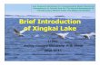 Brief Introduction of Xingkai Lake - UNECE€¦ · Russia and China have regular exchange visits, joint monitoringof the water quality, environment protection cooperation , and birds