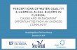 Perceptions of Water Quality & Harmful Algal Blooms in ... · PERCEPTIONS OF WATER QUALITY & HARMFUL ALGAL BLOOMS IN FLORIDA: CAUSES AND MANAGEMENT OPPORTUNITIES FROM AN ENGAGED COMMUNITY