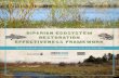 Tracking the Benefits of Stream and Floodplain Restoration ... · Riparian Ecosystem Restoration and Effectiveness Framework: FINAL p ES.1 2NDNATURE, LLC 500 Seabright Avenue #205