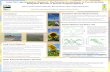 Long-Term Agroecosystem Research: The Potential for ... Resea… · USDA-ARS, Northern Great Plains Research Laboratory, Mandan, ND 58554 Introduction •The Northern Great Plains