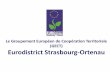Le Groupement Européen de Coopération Territoriale (GECT ......Eurodistrict Strasbourg-Ortenau 79 Communes (FR: 28 / DE: 51) 868.000 habitants sur un territoire de 2.100 km² Environ