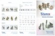 Rivet axe Niet Achse - Titanox · Visserie sur plan Special screws Materials Diameter Length • Steels 4.8 up to 14.9 • Stainless A2, A4 and 430 • Aluminiumalloys • Brass MS63
