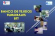 BANCO DE TEJIDOS TUMORALES BTT - portal.inen.sld.peportal.inen.sld.pe/wp-content/uploads/2017/07/BANCO-TEJIDOS-TU… · BANCO DE TEJIDOS TUMORALES BTT . AKERVALL, J., PRUETZ, B. L.,