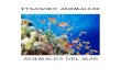 ITSASOKO ANIMALIAK - Elejabarri Eskolaelejabarrieskola.eu/wp-content/uploads/2020/04/ITSASOKO-ANIMALI… · itsasoko animaliak animales del mar. itsas izarra estrella de mar . itsas