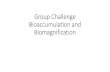 Group Challenge Bioaccumulation and Biomagnification · •ATL: Thinking •Making a connection between bioaccumulation and biomagnification with a case study of either Minamata Bay