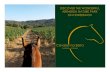 DISCOVER THE WONDERFUL ARRABIDA NATURE PARK ON …€¦ · along the route, allowing you to enjoy the wonderful landscape, close contact with the unspoilt nature and the horse. Usually