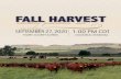 FALL HAREST shorthorn prodution sc ale sunday...Dear Shorthorn Friends, Welcome to the 2020 Fall Harvest Sale. This sale will feature a large group of quality bred Shorthorn females