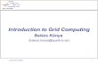 Introduction to Grid Computing - Particle Physics · Daily Grid magazines: , , Everything is Grid, the word “Grid” is inflated to a marketing term the divergence of Grid Toolkits