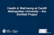 Health & Well-being at Cardiff Metropolitan University ...€¦ · MSc Dip2OSH CMIOSH . Chartered Safety & Health Practitioner Chair of Wales Centre for Occupational Health & Well