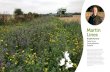 Martin Lines - Nature Friendly Farming Network · delivery alongside production of food in the landscape we cannot guarantee the long-term availability of food. How does nature friendly
