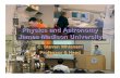 Physics and Astronomy James Madison University · – Use student assistants in selected labs (~2003) – Reformat Intro Astro lab for larger enrollments (2009) • Three faculty