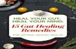 HEAL YOUR GUT, HEAL YOUR MIND: 15 GUT-HEALING REMEDIES … · 4/15/2020  · HEAL YOUR GUT, HEAL YOUR MIND: 15 GUT-HEALING REMEDIES FOR OPTIMAL MENTAL HEALTH. feelings,” to the
