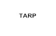 TARP · TARP・・・はじめにTARPとは、「Troubled Asset Relief Program」の頭文字を略 して表記した用語で、日本語では「不良資産買取りプログラム」になります。TAR