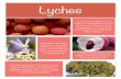 New Lychee - Hawaii Child Nutrition Programs · 2017. 1. 25. · Lychee lychee has a high level of Vitamin C that meets around 86% of our daily needs. It strengthens our immunity