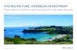 THE BIG PICTURE: OVERSEAS INVESTMENT - Bell Gully Documents/The Big... · Zealand's overseas investment rules is set to usher in a new age for overseas investment, rounding out the