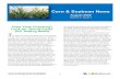 Corn & Soybean News April 2020 - University of Kentucky · 1 Corn & Soybean News April 2020 Volume 2, Issue 1 Corn & Soybean News August 2020 Volume 2, Issue 4 Field Yield Checking?