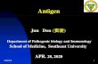 Antigen - Southeast University · major histocompatibility complex (MHC) molecules. 2020/5/5 10 MHC mediated cell-cell interactions via Ag processing and presentation. ... Recognition