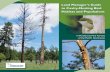 New Land Manager’s Guide to Cavity-Nesting Bird Habitat and … · 2018. 2. 14. · bird species include Lewis’s Woodpecker and Western Bluebird. Pine Woodland. Ponderosa pine