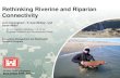 Rethinking Riverine and Riparian Connectivity · Rethinking Riverine and Riparian Connectivity Jock Conyngham 1, S. Kyle McKay, and ... Abiotic Regimes •Hydrologic flow regime •Sediment