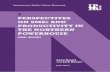 Perspectives on SMEs and Productivity in the Northern ... · Chapter 2 draws on learning from our fieldwork to outline a profile of small businesses in the North. Chapter 3 explores