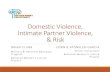 Domestic Violence, Intimate Partner Violence, & Risk · 2020. 2. 28. · Domestic Violence (DV) Most known and used term Criminal statutes usually require violence, threat of violence,