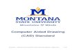 Computer Aided Drawing (CAD) Standard€¦ · Montana State University Computer Aided Drawing (CAD) Standard . Ownership . Montana State University (MSU) shall at all times have sole