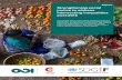 Strengthening social justice to address intersecting inequalities post-2015 · 2017. 6. 29. · on proposals for the Post-2015 Development Agenda. The recommendations of the HLP were