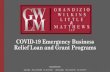 COVID-19 Emergency Business Relief Loan and Grant ...gwlmcpac/files/CARES Powerpoint...COVID-19 Emergency Business Relief Loan and Grant Programs Sparks Office: Phone: 410-494-0885