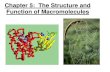 Chapter 5: The Structure and Function of Macromolecules...Chapter 5: The Structure and Function of Macromolecules. 5.1 - Overview: The Molecules of Life Within cells, small organic