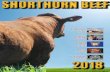 SHORTHORN BEEF...April 2017, I thank Jason Catts, retired Shorthorn Beef President for his endless time, commitment and expertise in which he has conducted this role over the past
