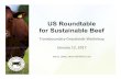 US Roundtable for Sustainable Tejas Feeders LTD MC 6 Cattle Feeders, Inc. UBS KEYSTONE FEEDERS TEXAS