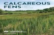 CALCAREOUS FENS Amazing Rare IrreplaceableCALL US. License, titling and registration: M-F 8 a.m.-4:30 p.m. General information: M-F 8 a.m.-8 p.m., Sat. 9 a.m.-1 p.m. 888-646-6367 or