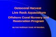 Octocoral Harvest Live Rock Aquaculture Offshore Coral ... · •All 11 sites are in the Florida Keys •There are 6 inactive permits in the Keys issued to 6 different entities •There