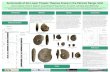 Ammonoids of the Lower Triassic Thaynes Group in the Pahvant … · 2009. 5. 19. · Ammonoids of the Lower Triassic Thaynes Group in the Pahvant Range, Utah Kevin G. Bylund1, Daniel