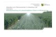Aktuelles zum Pflanzenschutz im Ackerbau und Grünland … · 2020. 10. 8. · 30 | 02.12.2011 | Aktuelles zum Pflanzenschutz 2011 René Pfüller Laborergebnisse HPLC DON Gehalt in