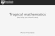 tropical presentation short · Tropical mathematics (and why you should care) Manos Theodosis Harvard University School of Engineering and Applied Sciences
