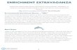 Enrichment Extravaganza Activity Only - Clearwater Marine …€¦ · Enrichment Extravaganza Activity Only Author: Clearwater Marine Aquarium Keywords: DAD6AO-FVPU,BACc0rLZtYs Created