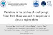 Variations in the catches of small pelagic fishes from China seas and its … · Shuyang Ma1, Jianchao Li1, Jiahua Cheng2, Yongjun Tian1* 1 Laboratory of Fishery Oceanography, Ocean