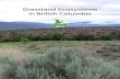 New Grassland Ecosystems in British Columbia · 2017. 8. 7. · Some grassland plants, such as grasses, have many long, fine roots to search for water at and just below the surface;