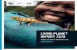 LIVING PLANET REPORT 2020 Summary.pdf · 2020. 9. 9. · This year’s index includes almost 400 new species and 4,870 new populations. Since the last Living Planet Index was released