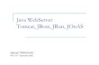 Java WebServer Tomcat/JBoss/JRun/JOnAS - imaglig-membres.imag.fr/plumejeaud/NFE107-fichesLecture/web...JGroups Portlet Swap Hibernate Portal Portlet Bridge JBoss S&IM JBoss Forums