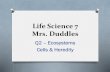 Life Science 7duddlesms2tc.weebly.com/.../life_science_7_q2_agenda.pdf · 2019. 2. 13. · Life Science 7 Mrs. Duddles Q2 –Ecosystems Cells & Heredity. Friday 01/25 Objectives: