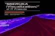 New “MIERUKA Visualization - IPA · 2019. 10. 25. · 2 Appendix MIERUKA (Visualization) Tools and References must be determined. In determining the measurement items, it is necessary